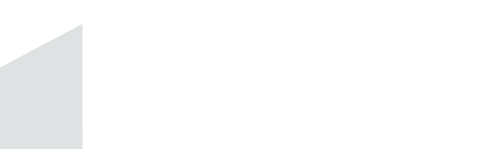 SINGULAR