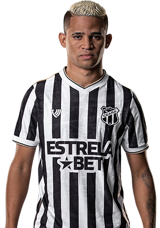 Erick de Arruda Serafim