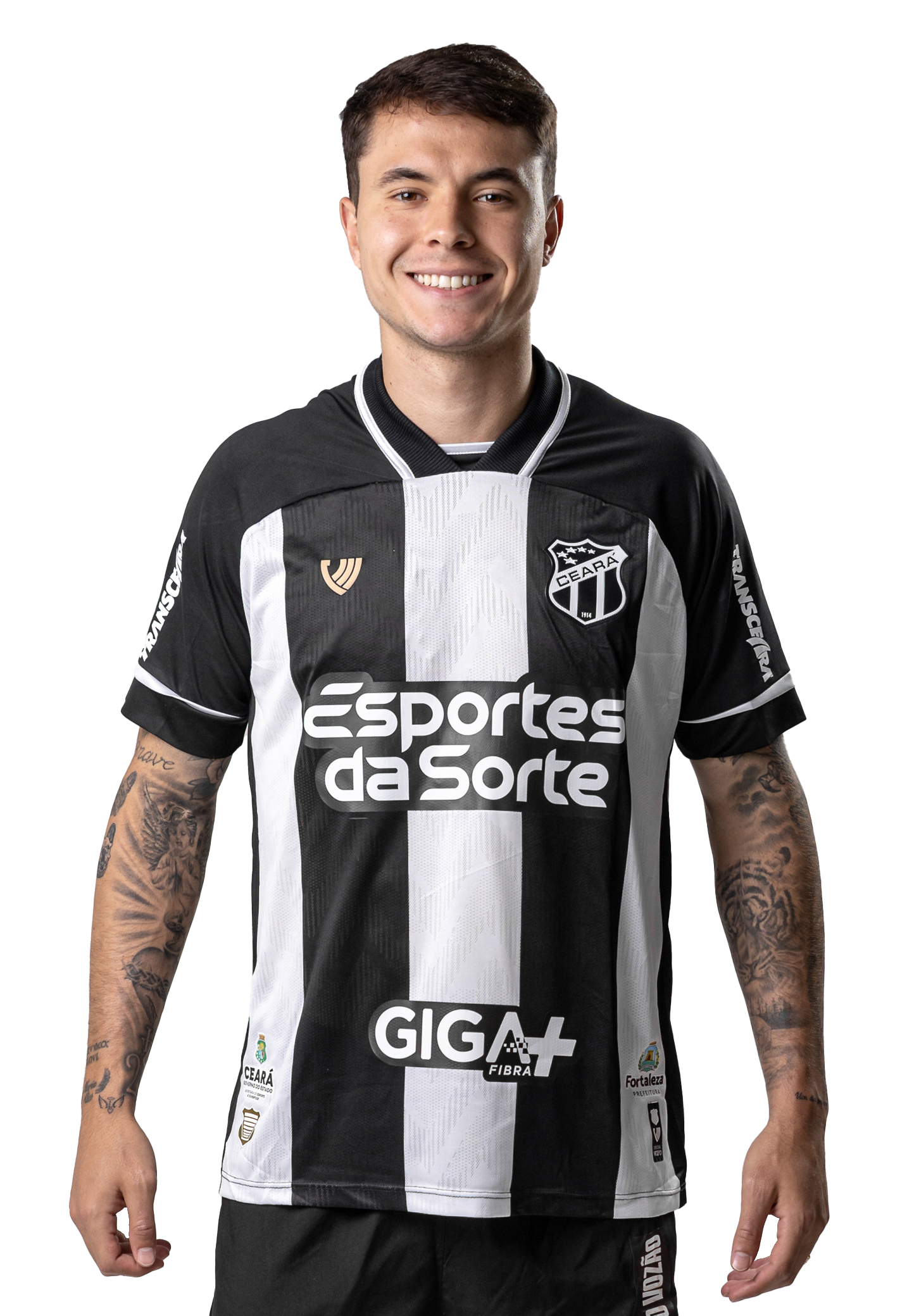 Saiba mais sobre: Vinicius Nelson de Souza Zanocelo  