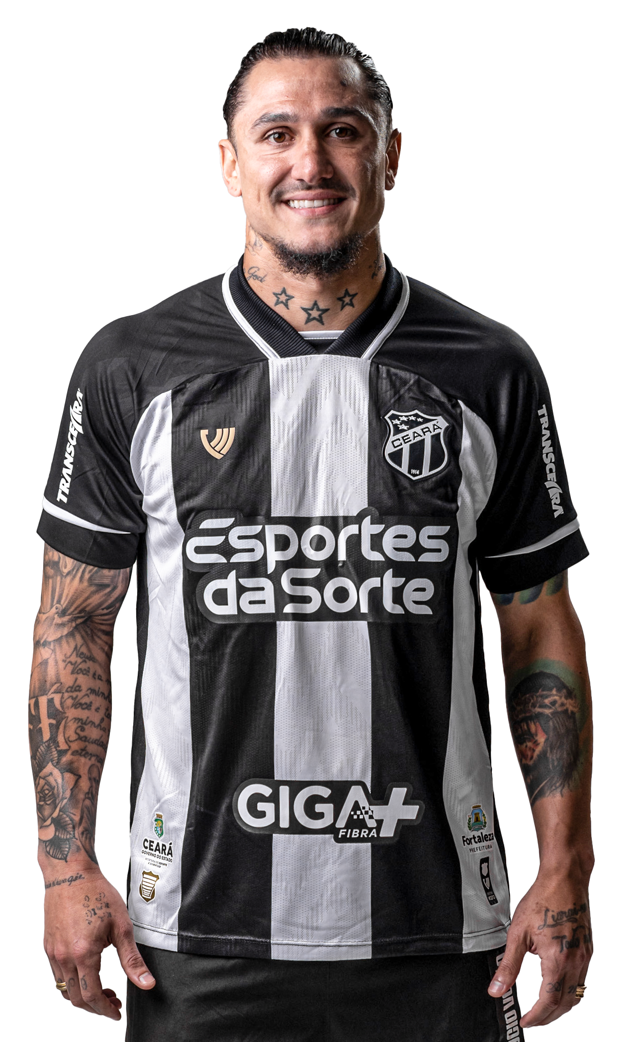 Saiba mais sobre: Vinícius Goes Barbosa de Souza  (29)  