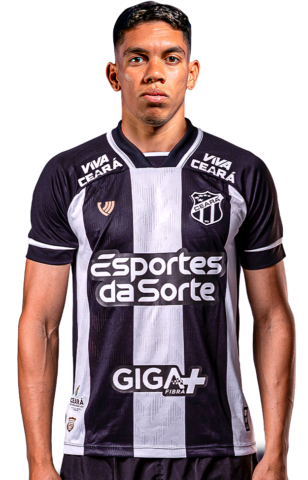 Paulo Henrique Silva Ribeiro
