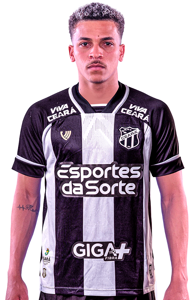 Rodrigo Henrique Santos de Souza