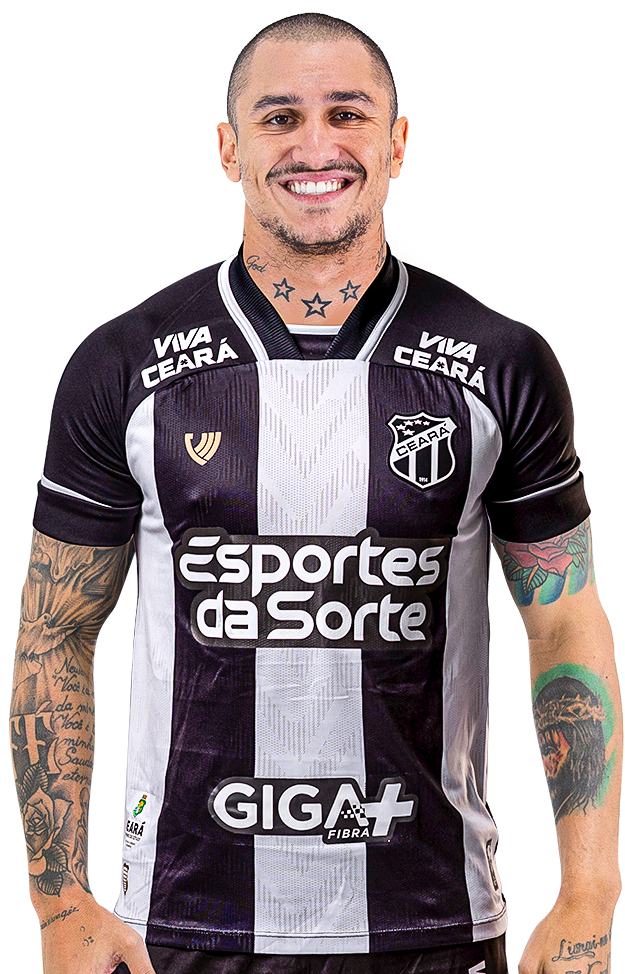 Vinícius Goes Barbosa de Souza