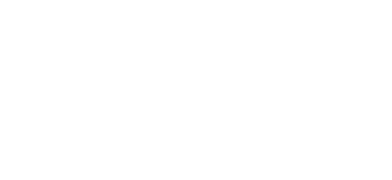 Zenir